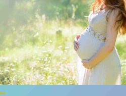 Mango Benefits for Pregnant Women