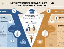 Understanding Life Insurance Australia